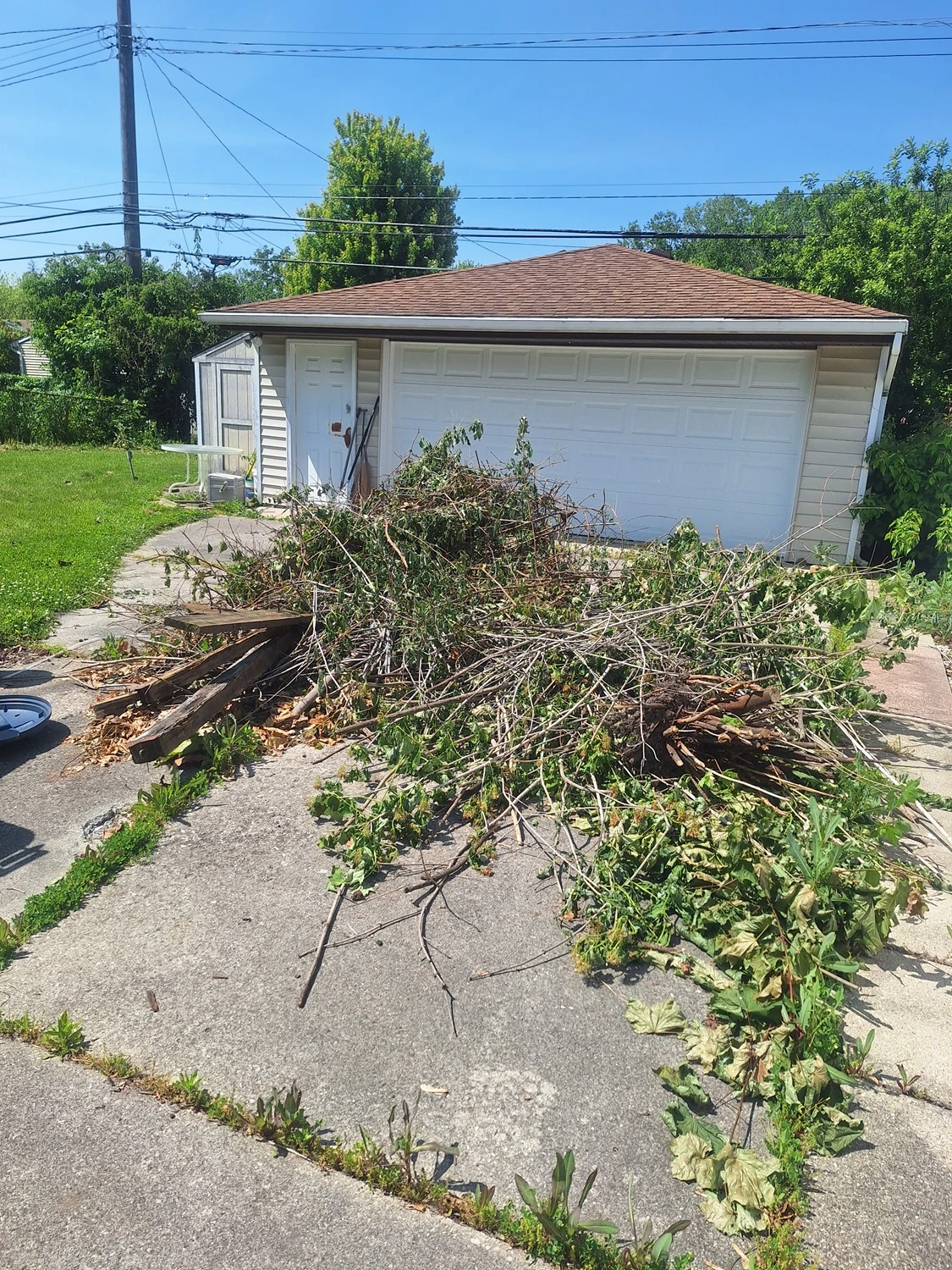 before yard waste removal